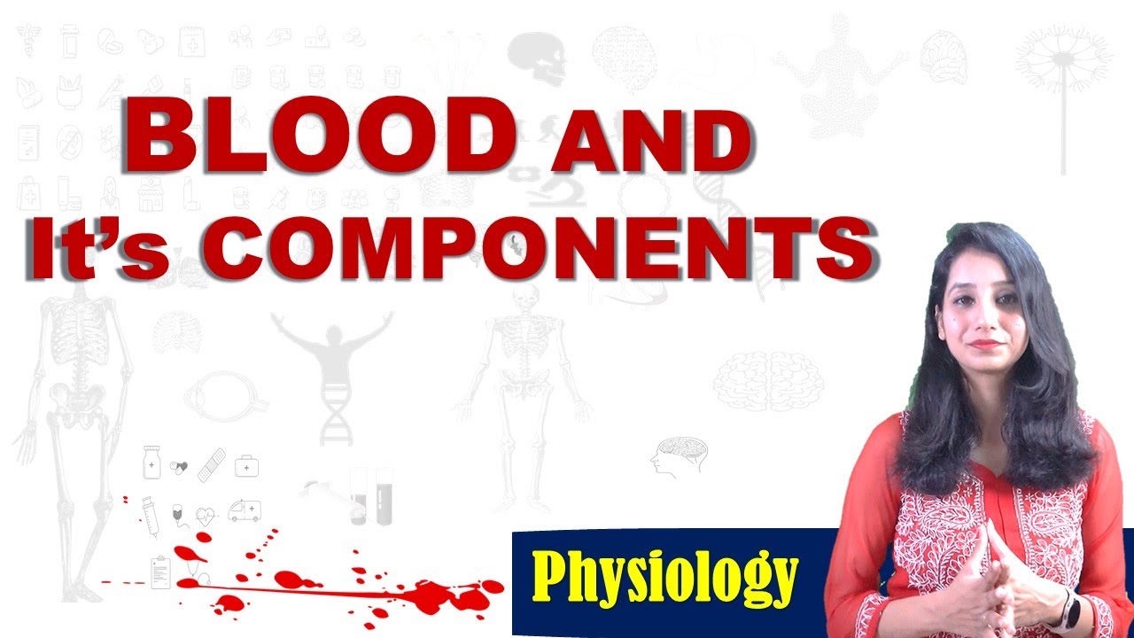 Blood and Its Components I Human Physiology I Plasma I RBC I WBC I Platelets  Body Fluid circulation