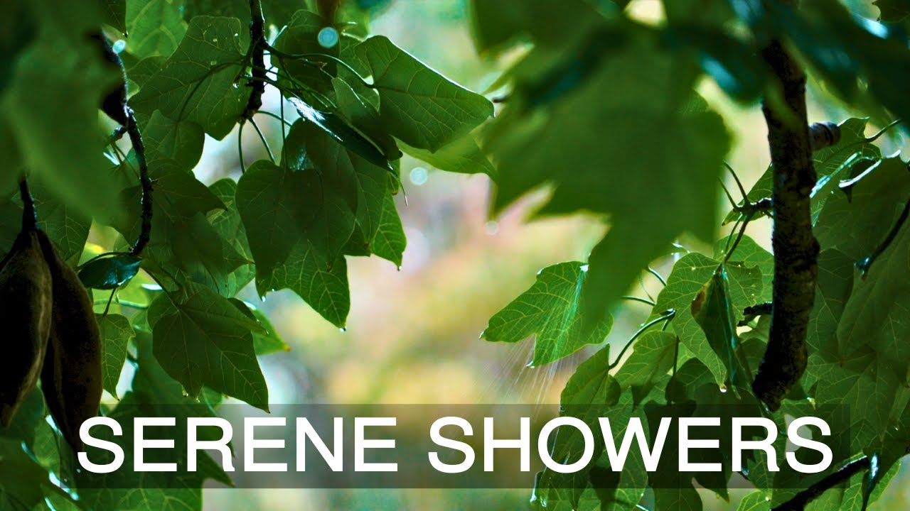 10 Hour | Soothing Rainfall Meditation - Relaxing Rain Sounds for Sleep | Calm | Stress-Relief