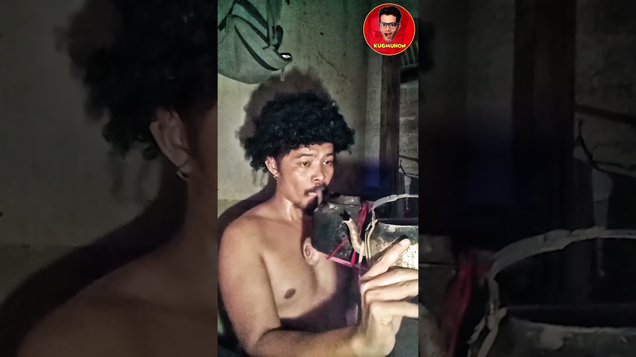 Fly me to the moon instrumental #instrumental #funny #music #followers #franksinatra