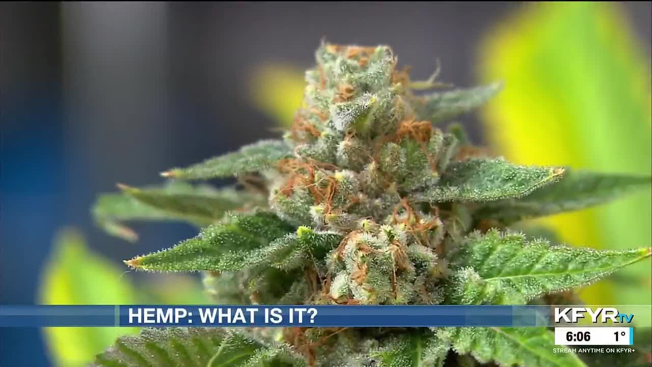 Federal ban raises questions about hemp