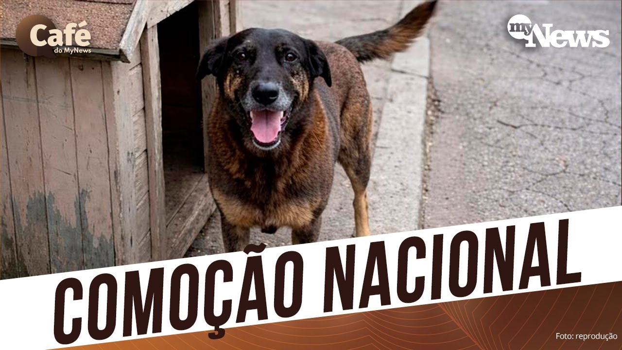 VEJA COMO ATROCIDADE QUE MATOU ORELHA SENSIBILIZA O PAÍS