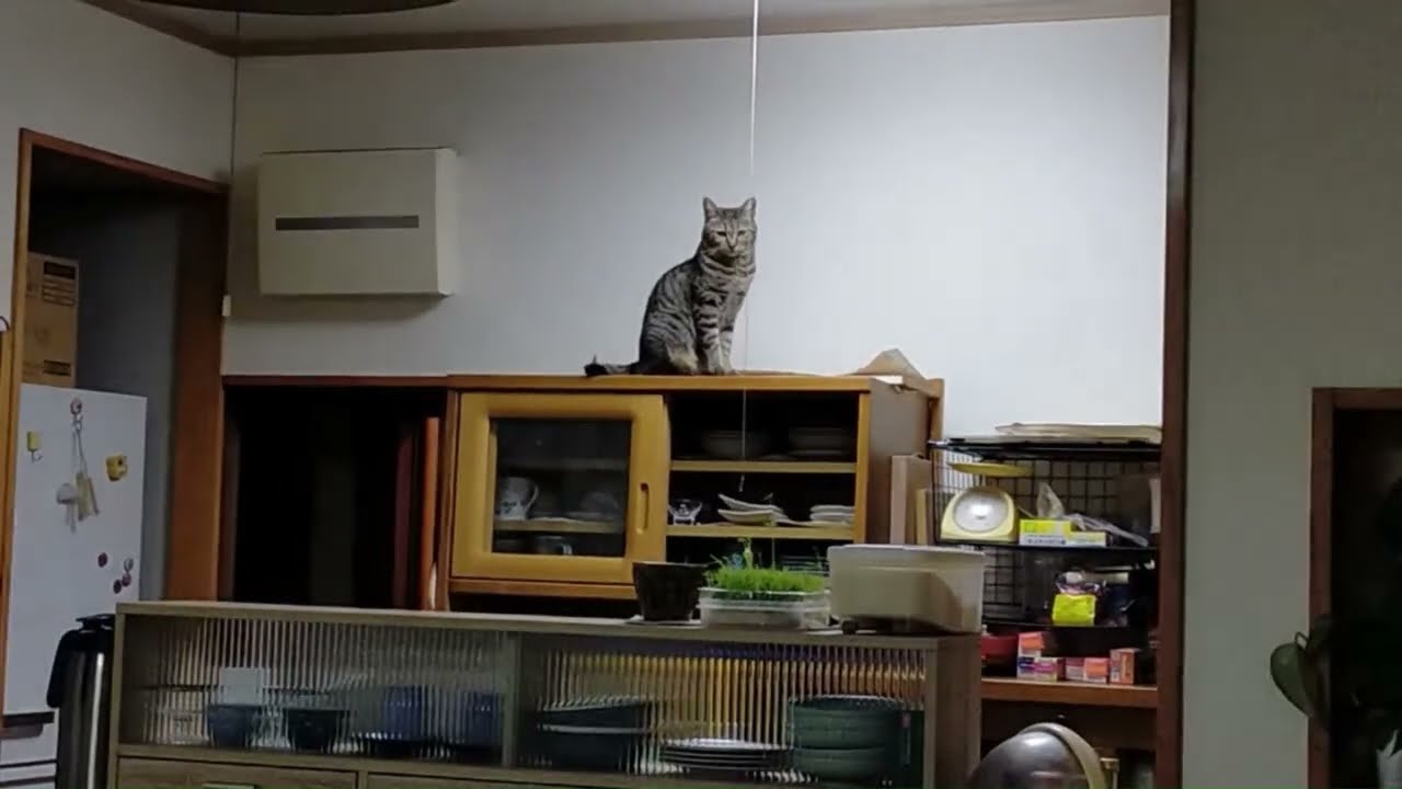 本日の登頂⛰