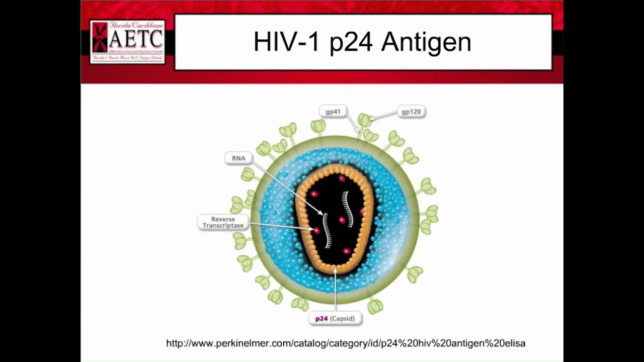 CDC Routine Testing Guidelines and Revised Testing Algorithm