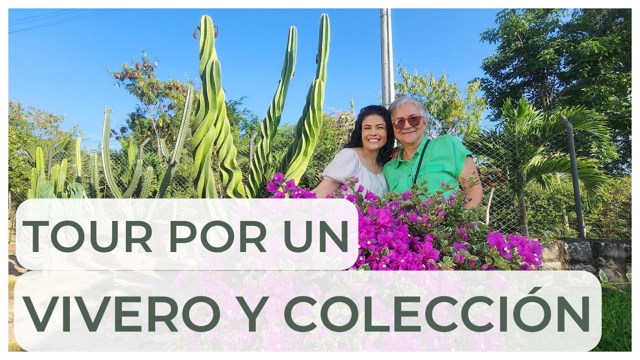 Un recorrido lleno de PLANTAS cultivadas con mucho AMOR