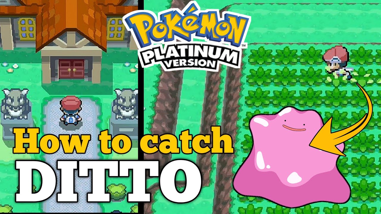 How to catch DITTO in Pokemon Platinum