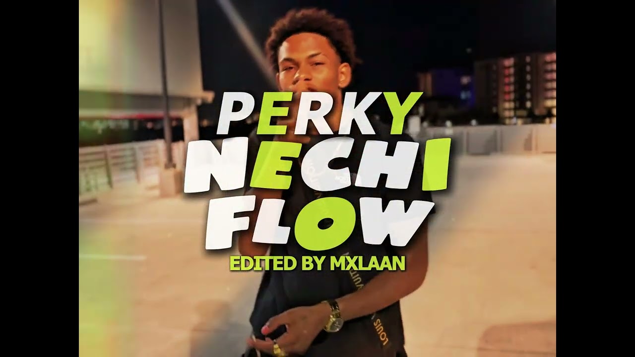 Perky - Nechi Flow (Visualiser)