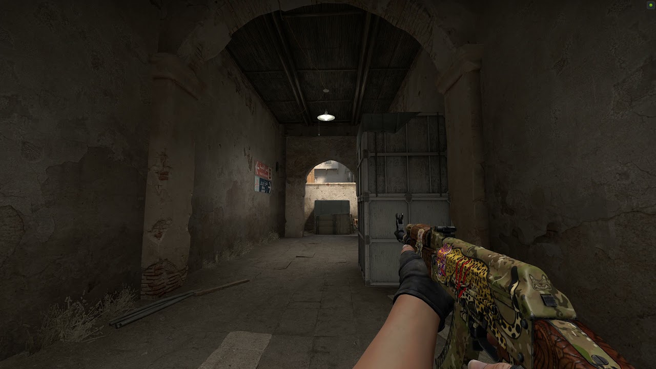 CS:GO Clean Ace | Ak-47 Panthera Onca