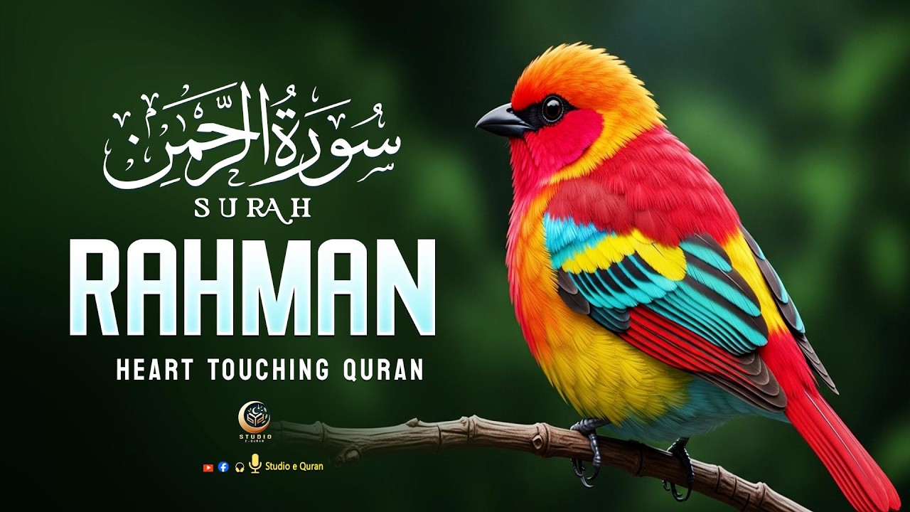 Surah ar rahman Very Very beautiful recitation ✶ SURAH RAHMAN - سورة الرحمن ✶Studio-e-Quran
