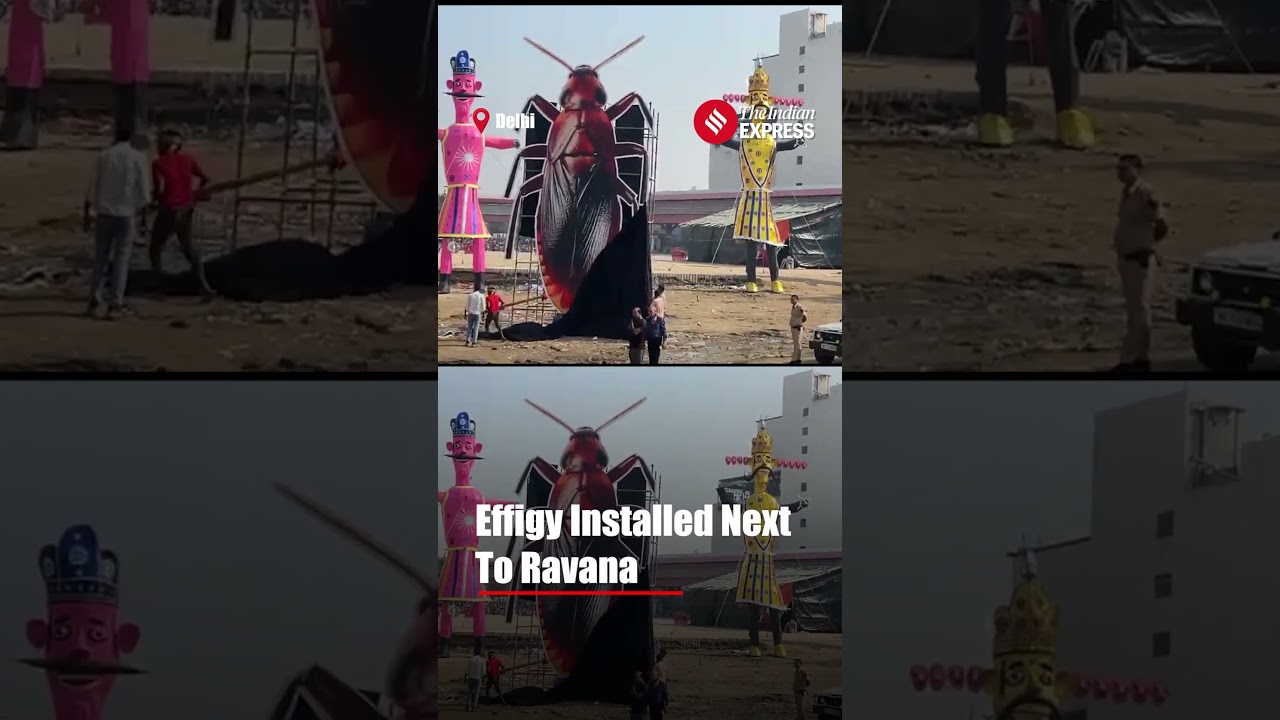 Delhi Ramlila To Burn 30-Foot Cockroach Effigy Alongside Ravana