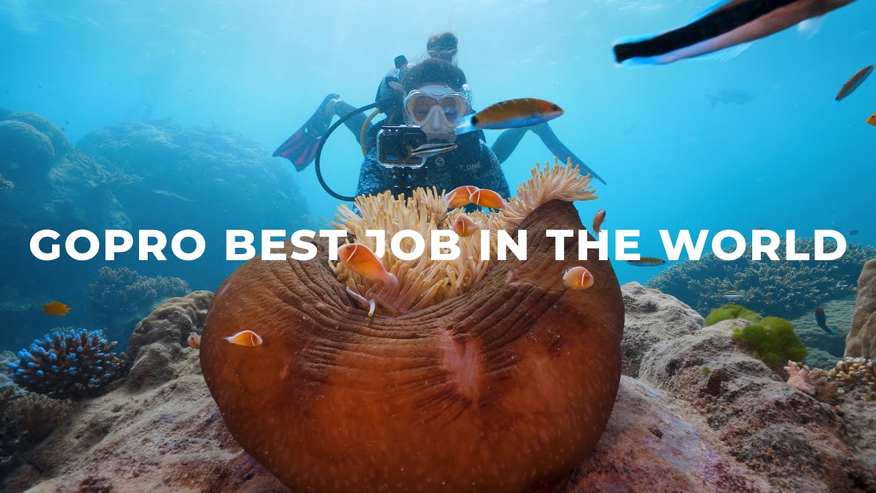 GoPro Best Job In The World | The Great Barrier Reef Finalist Film Entry