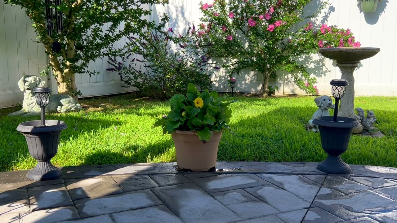 Backyard Bliss &mdash; Summer Patio, Bird Bath, Calm Morning Breeze (July 6, 2025)