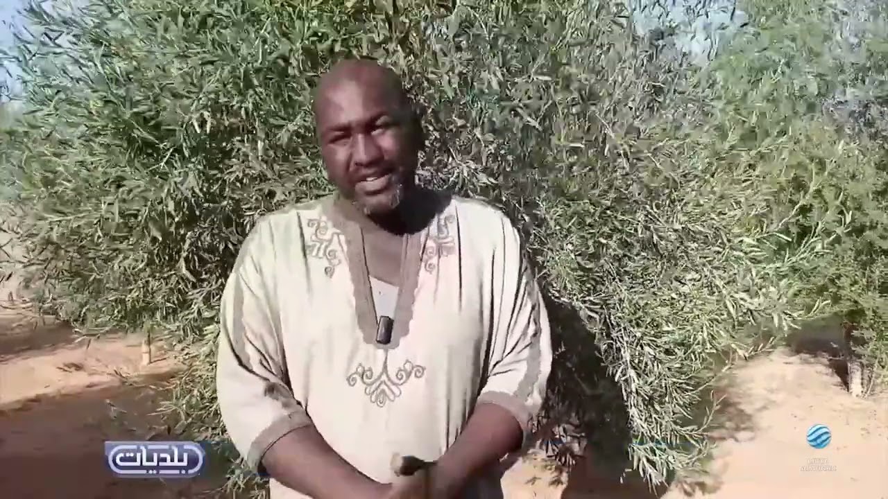 بلديات | تدني الخدمات بقطاعي الزراعة والكهرباء ببلدية أوباري
