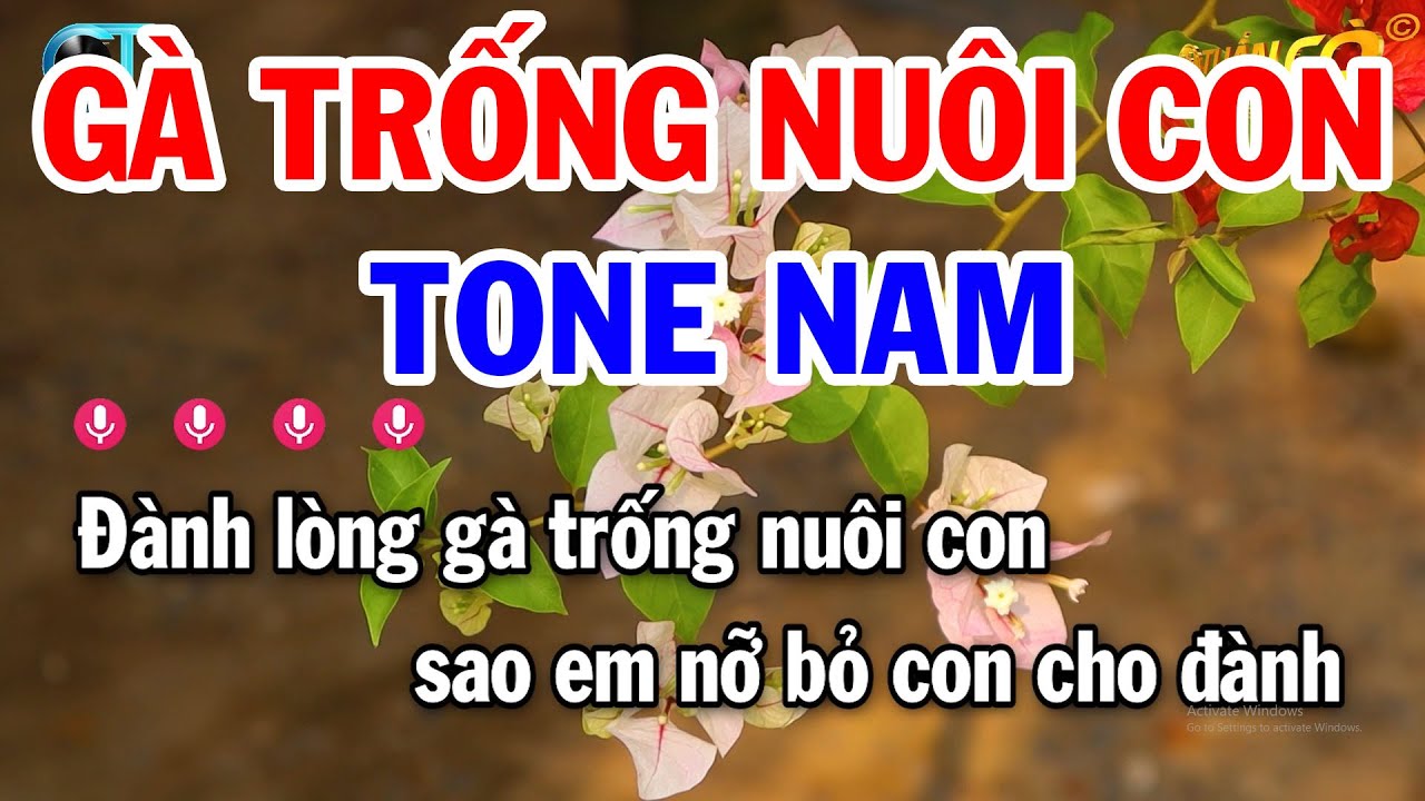Karaoke Gà Trống Nuôi Con Tone Nam ( Rê Thứ ) Nhạc Sống Tuấn Cò