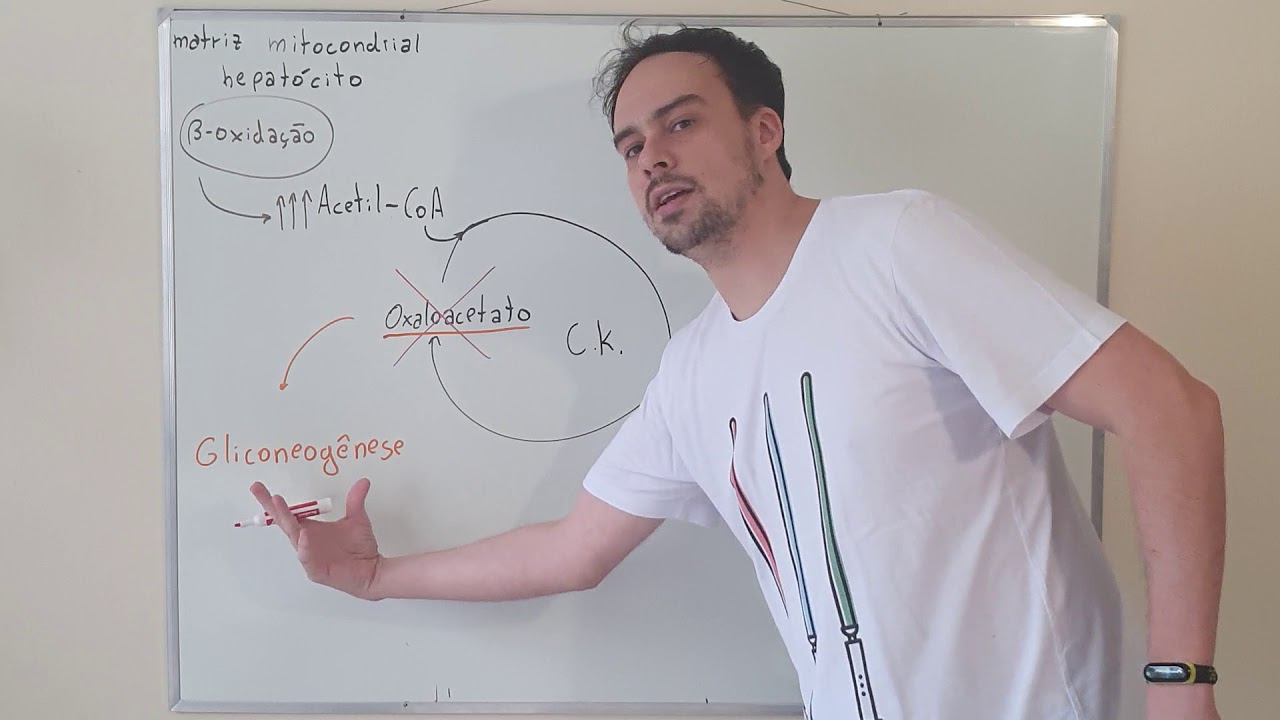 Depleção de oxaloacetato e sintese de corpos cetonicos