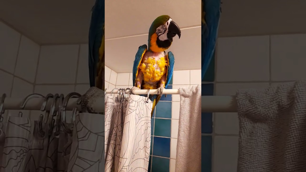 shower tonight 🤗🤗