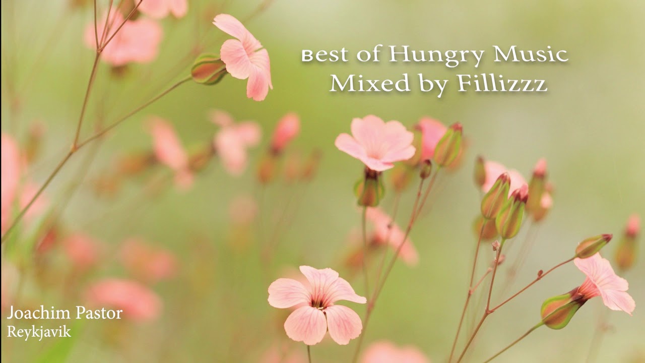 Best Of Hungry Music (Worakls, N'to, Joachim Pastor, Joris Delacroix, Oliver Schories,..)