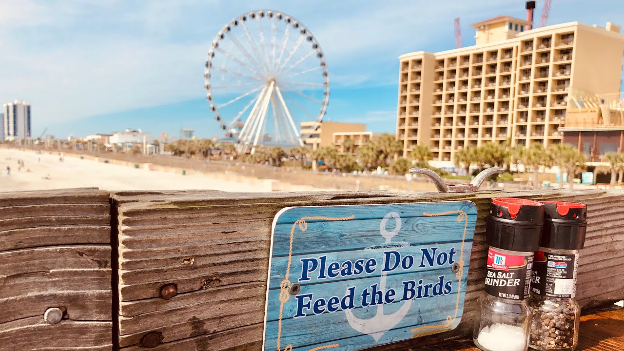 Pier 14 Restaurant - Ocean Views for Days - Myrtle Beach, SC