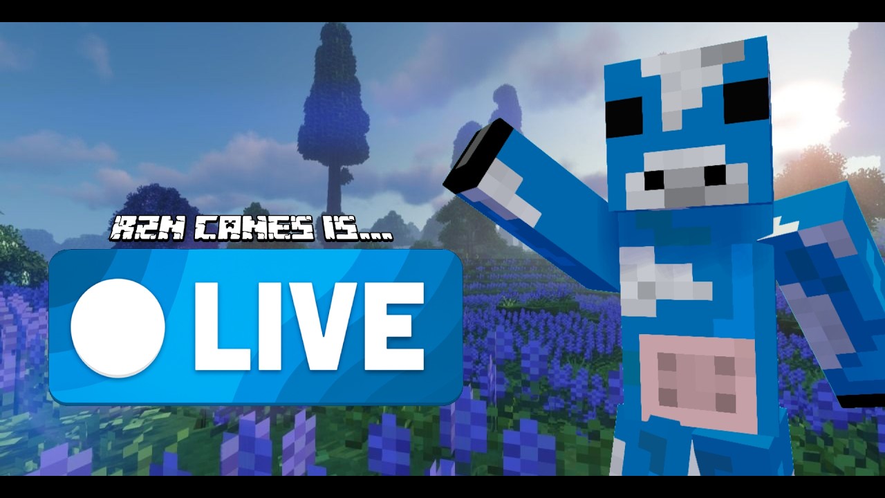 GAMBLING | RATING BASES 2M PER | 17b+ | DONUT SMP LIVE