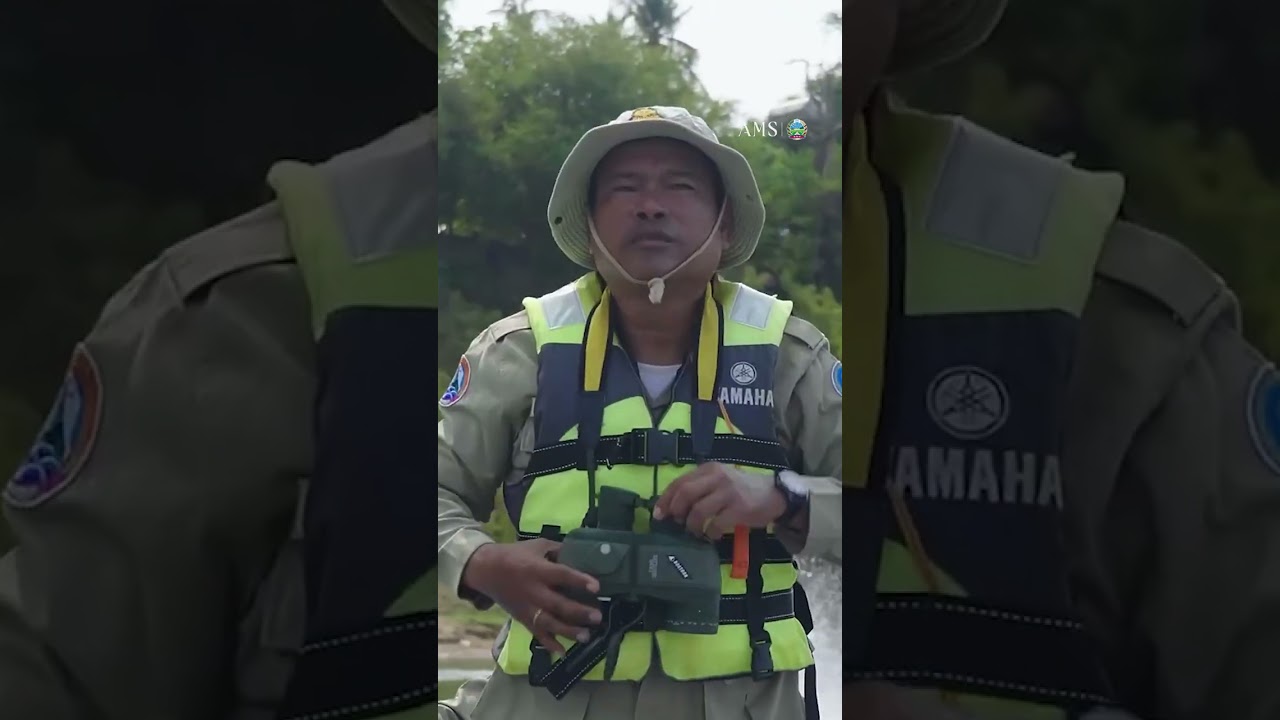 វត្តមានសត្វផ្សោតនៅទន្លេមេគង្គ