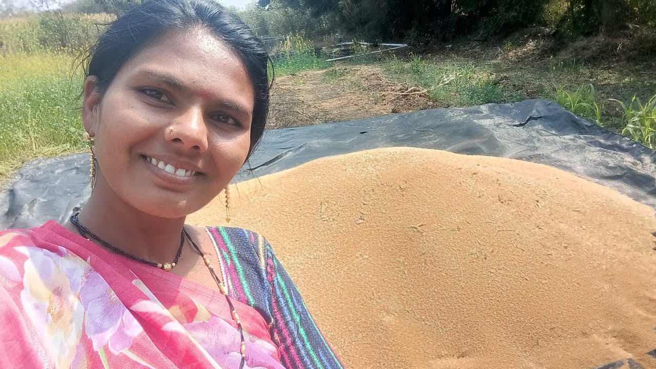 तर बघा आज आमचे काढले गहू किती गहू झाले आम्हाला 🤩🥰🤩🥰
