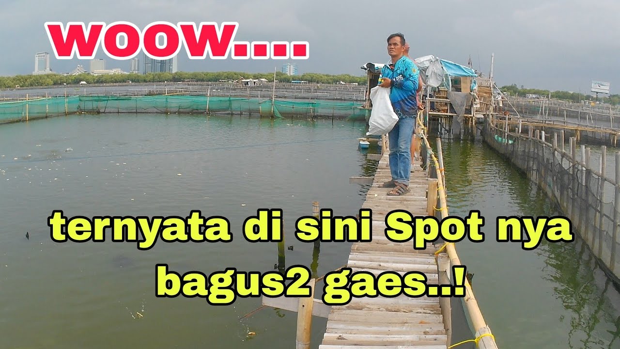 Di sini banyak spot harian mujaer bandeng , kamal miami