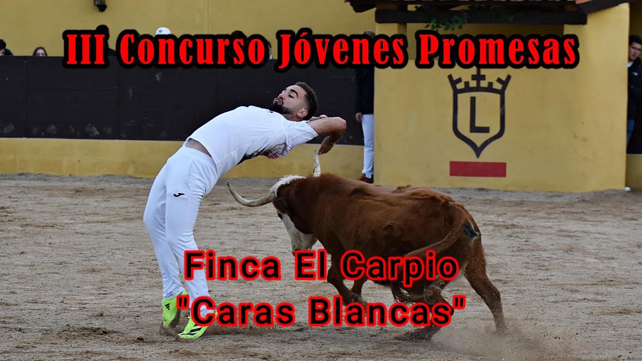 𝐥𝐥𝐥 𝐂𝐎𝐍𝐂𝐔𝐑𝐒𝐎 𝐉𝐎́𝐕𝐄𝐍𝐄𝐒 𝐏𝐑𝐎𝐌𝐄𝐒𝐀 𝐅𝐈𝐍𝐂𝐀 𝐄𝐋 𝐂𝐀𝐑𝐏𝐈𝐎