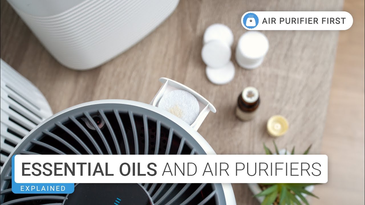 Using Essential Oils in Your Air Purifier: Yes or NO!