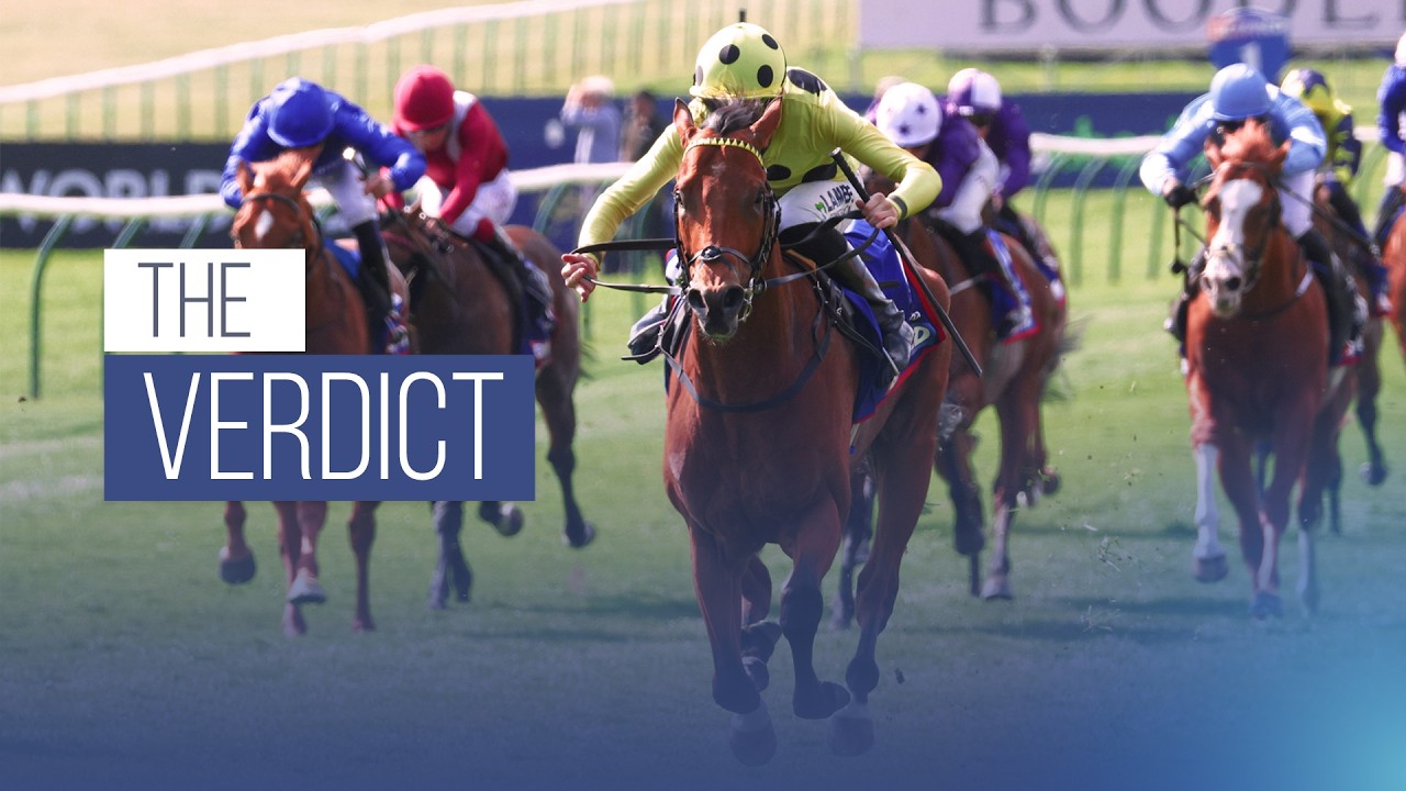 The Verdict: Guineas Festival Analysis | Racing TV
