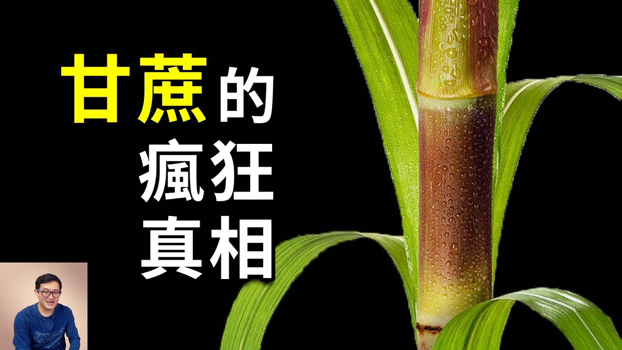 為什麼說糖是甘蔗的陰謀？綁架人類味覺，用C4光合作用開掛，成為世界上產量最高的農作物！【老肉雜談】#生物 #植物 #農作物 #甘蔗 #糖