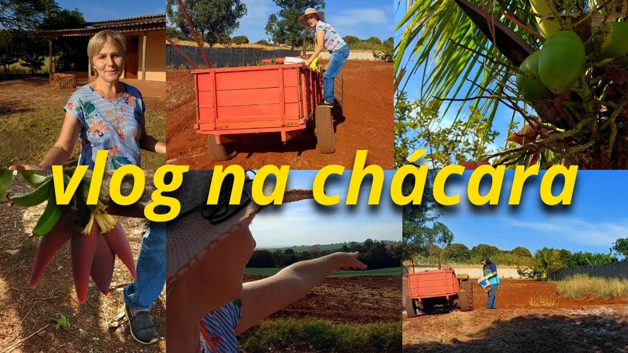 MEU PRIMEIRO VLOG NA CHÁCARA / PREPARANDO A TERRA COM CALCÁRIO /  ALMOÇO E CAFÉ COM FAMILIARES