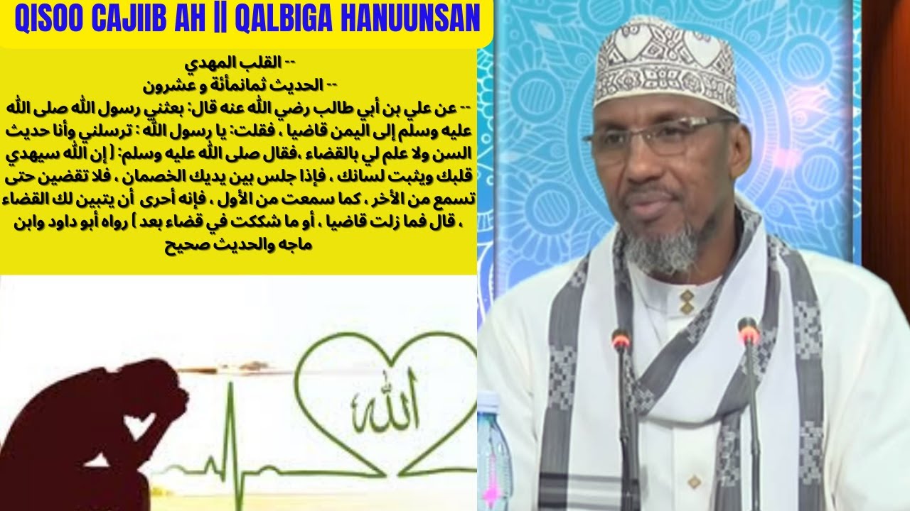 QISOO CAJIIB AH || QALBIGA HANUUNSAN