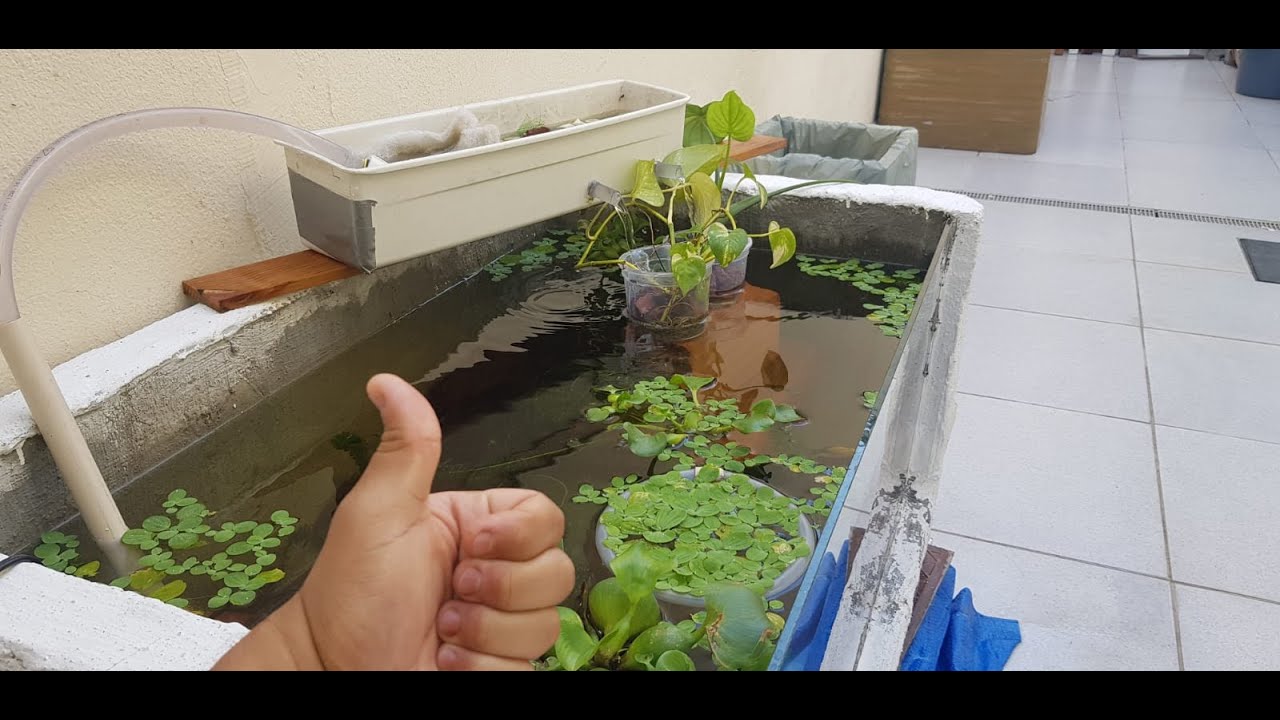 TANQUE DE ISOPOR 200L FEITO COM APENAS  R$ 113 REAIS