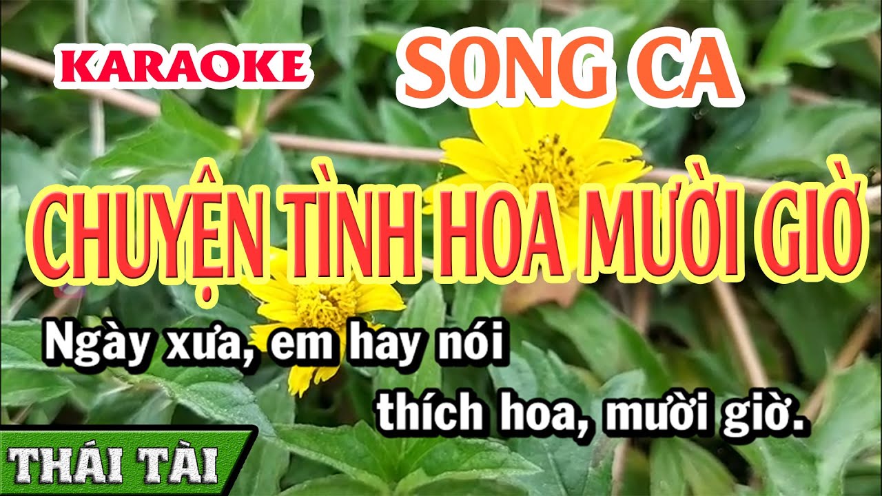 Karaoke Chuyện Tình Hoa Mười Giờ Song Ca | Thái Tài