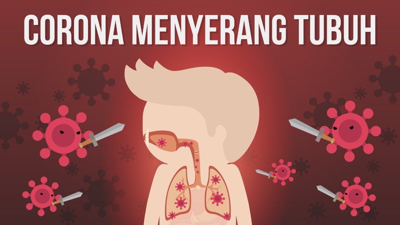 Bagaimana Virus Corona Menyerang Organ Tubuh Kita?