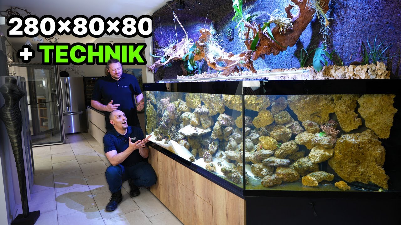 280x80x80 + Technik - Daniels Meerwasseraquarium von Franz! - Tunze