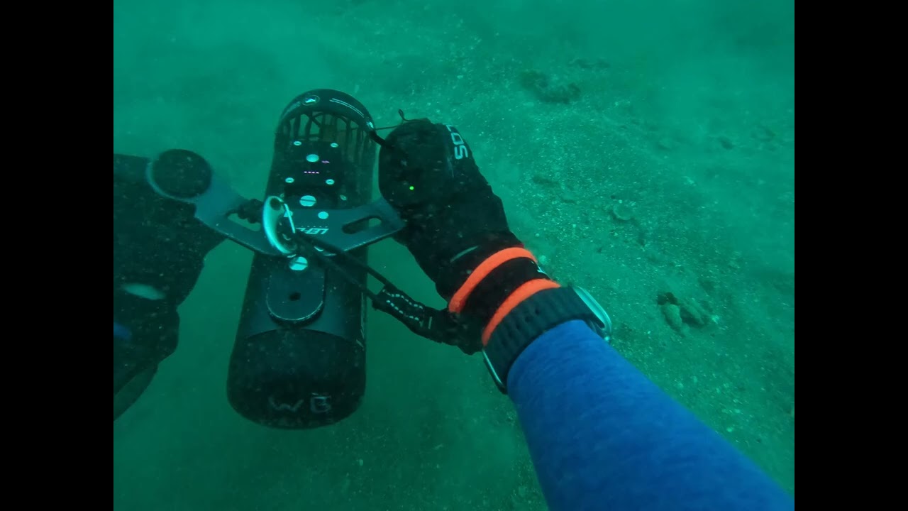 Meg Ledge Megalodon Tooth Dive - Wrightsville Beach, North Carolina (05/21/2023)