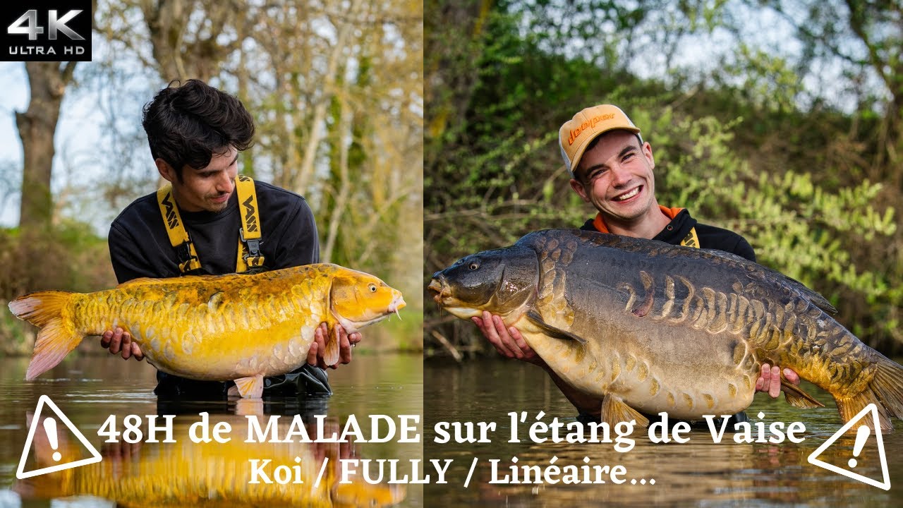 Une Session de Rêve à la Carpe ** 48 H de Folies **  étang de Vaise / Printemps 2021 / 4K