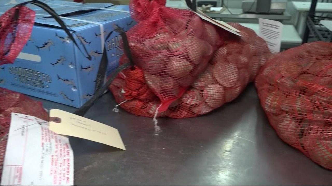 We’re Open: Down East Seafood Inc.