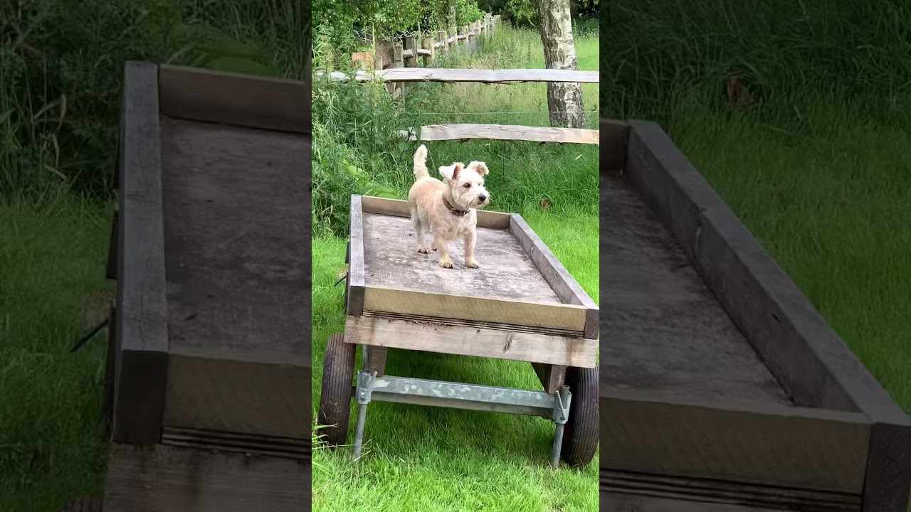 Nelson meets the Rams!