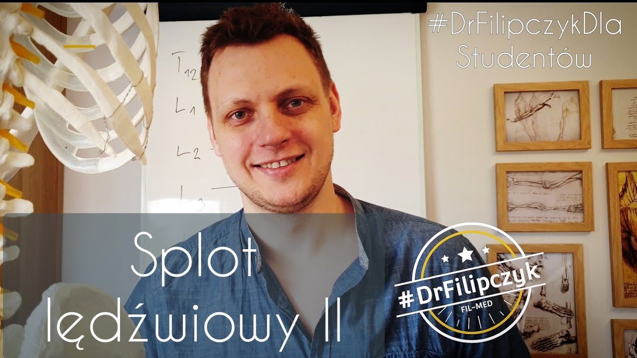 Splot lędźwiowy cz.2 #DrFilipczyk dla studentów