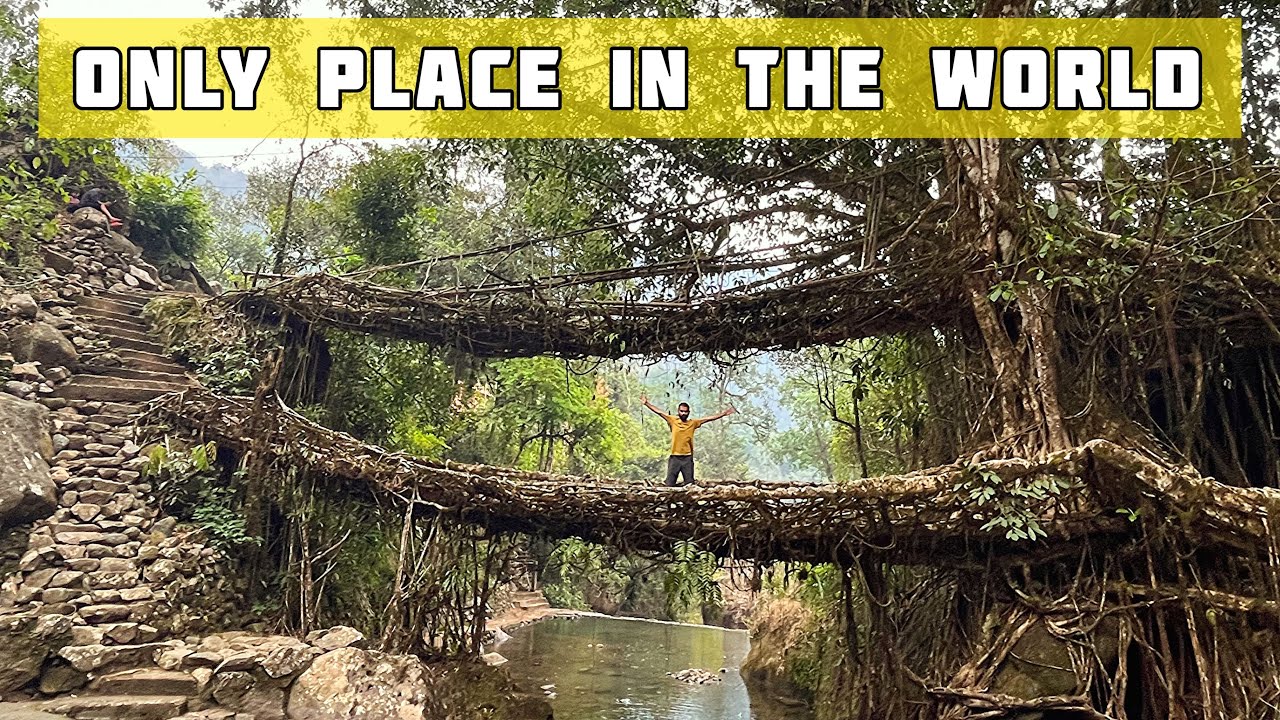 Double Decker Living Root Bridge of Meghalaya | Bharat Darshan with Traveler Mohit