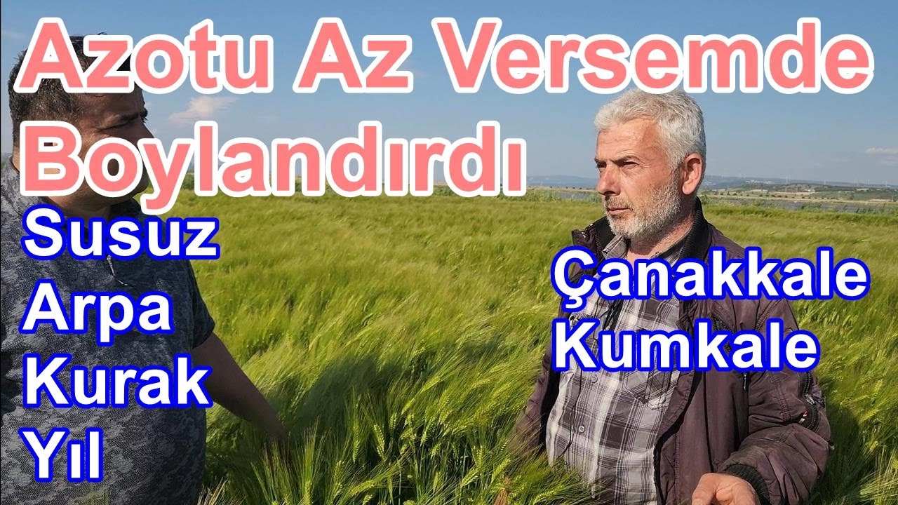 Arpa Gübreleme - Arpada Yaprak Gübresinin Verime Ve Boylanmaya Etkisi