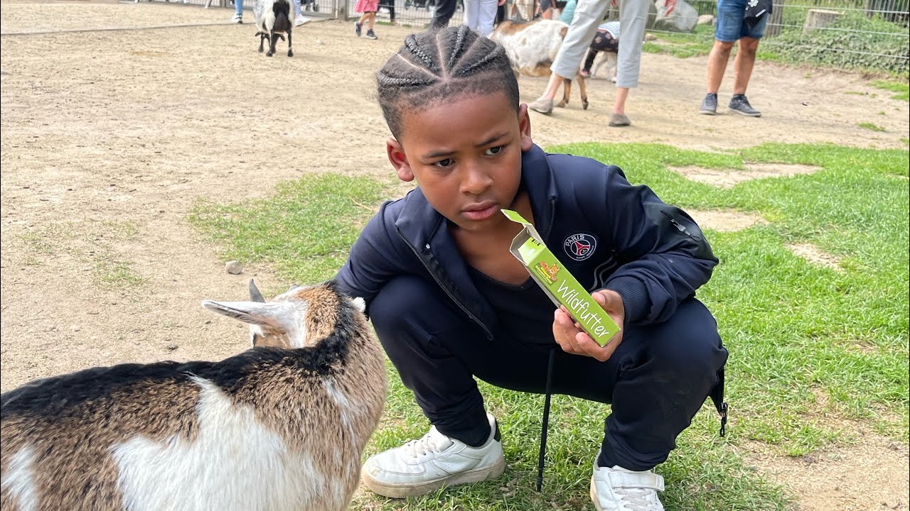 KAYDEN FÜTTERT Ziegen & HÖHENANGST!😱 Ausflug in den WILDPARK SCHWARZE BERGE