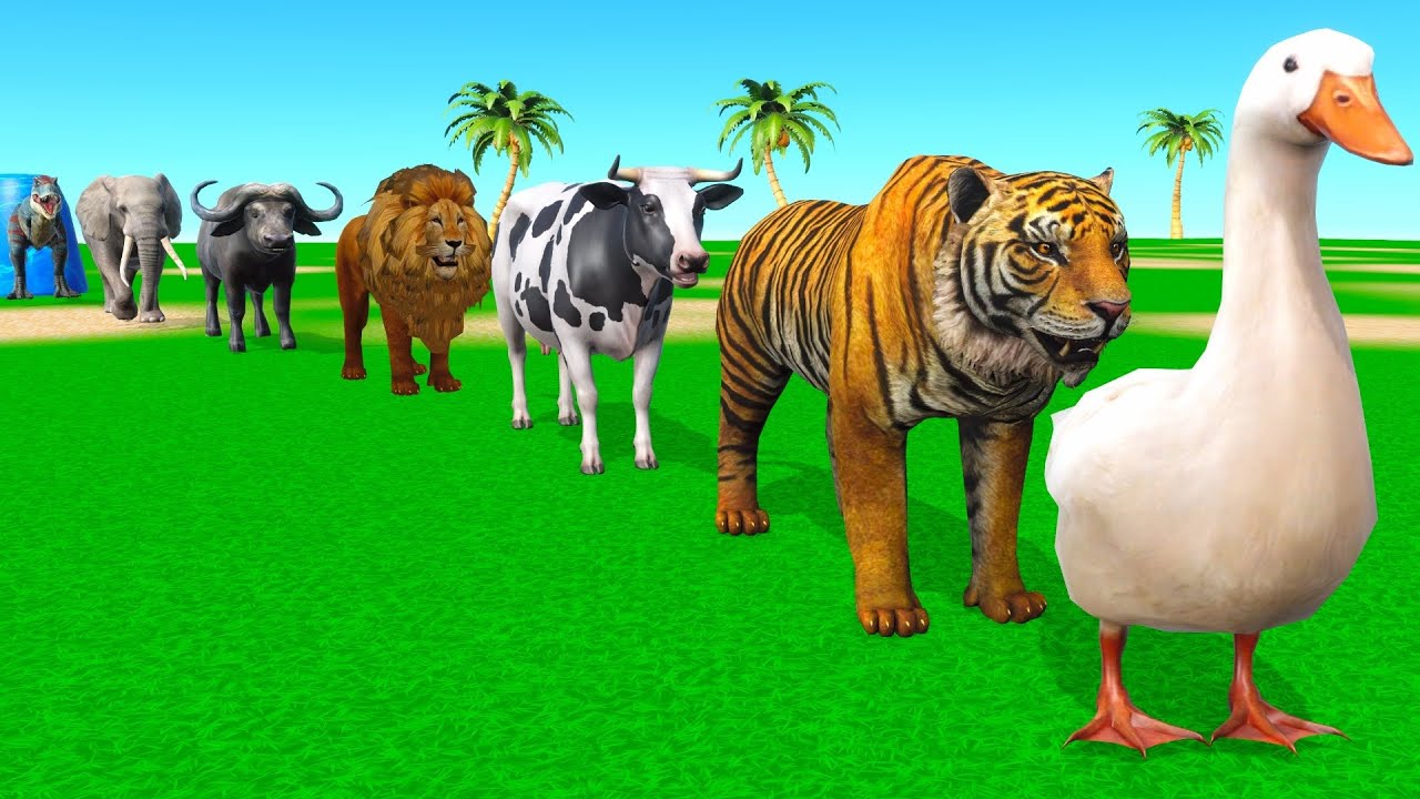 Long Slide Game with Cow Elephant Gorilla Hippopotamus Tiger 3d Animal Game Funny 3d Animals
