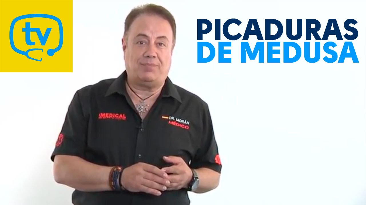 Picaduras de medusa ¡todo lo que debes saber!