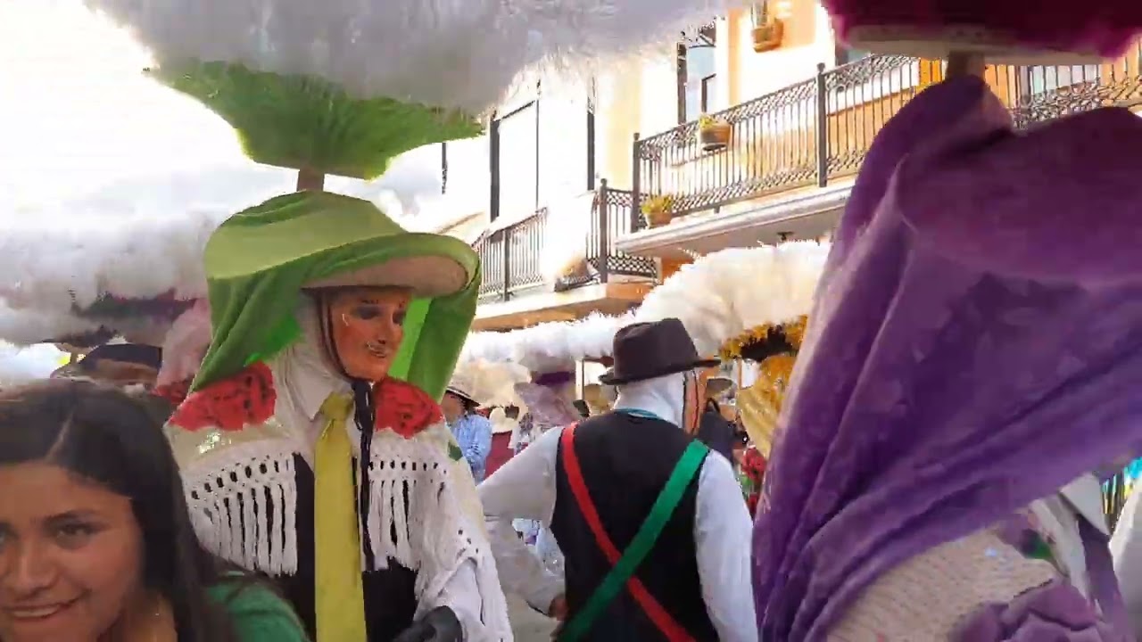 carnaval de potrero 2024