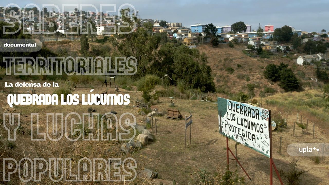 Saberes Territoriales y Luchas Populares: La defensa de la Quebrada Los Lúcumos