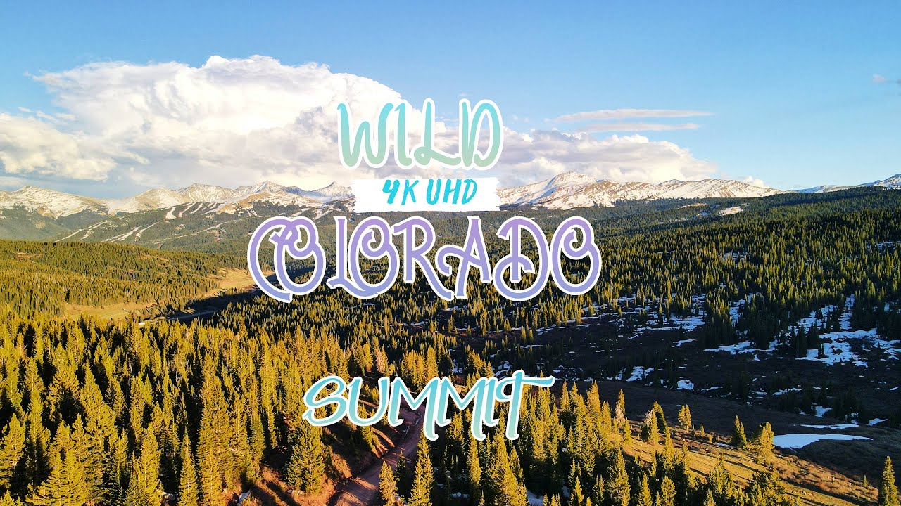 WILD COLORADO - Summit County