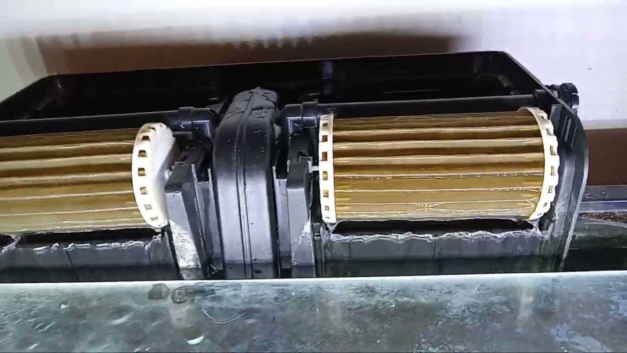 Comparing the filtering ability of Marineland Emperor 450 vs 400