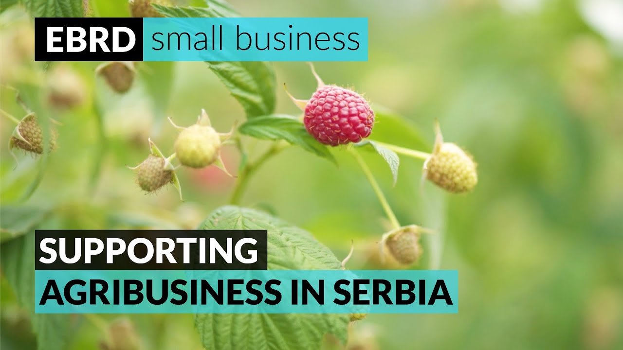 Boosting competitiveness of agribusiness in Serbia